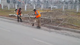 В Чебоксарах устраняют последствия штормового ветра