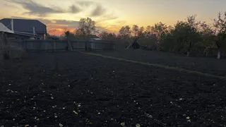 Лунный посевной календарь для садоводов: что ещё можно успеть посадить в марте, рассказали эксперты