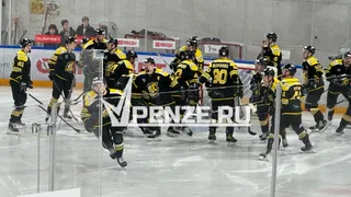 Пензенские дизелисты выиграли турнир по хоккею памяти Героя России Валерия Канакина