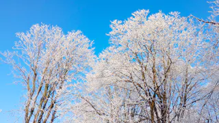 «Январь и февраль дадут нам прикурить». Синоптики уже объявили, к чему готовиться