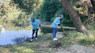 Волонтеры очистили владимирский Красносельский пруд от мусора