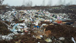 В Октябрьском городке продолжает расти незаконная свалка мусора