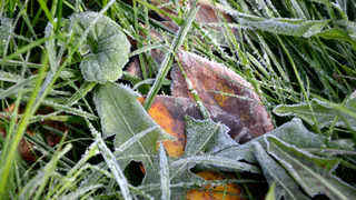 Столбики термометров в Рязани опустятся до 0 градусов