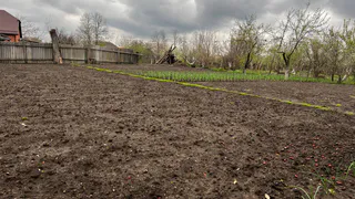 3 стакана на ведро — и колорадских жуков как ветром сдует: исчезнут без следа — мощный рецепт