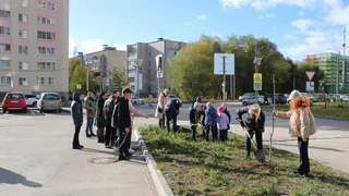 Рядом со школой №76 Рязани появилась «Аллея отцов»