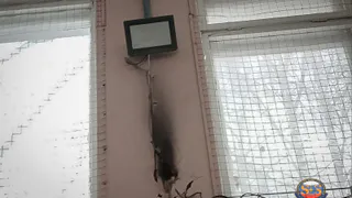 В школах Владимира и Коврова предотвращено несколько пожаров