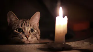 Света не будет: в Нижнекамске отключат электроэнергию