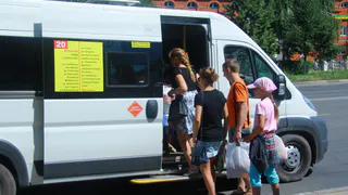 Николай Любимов: За перевозкой детей должен быть установлен жёсткий контроль