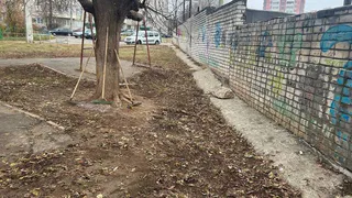 Жители Чувашии недовольны внешним видом улиц: "Стыдно за  людей, так не любить свой город"