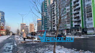 Жители Засечного вынуждены словно сурикаты высматривать транспорт из-за отсутствия остановки и возникших препятствий