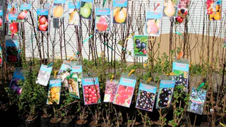 В Рязани ярмарка «Сад-огород» будет работать до 30 апреля