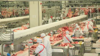 Мясо из Брянской области начнут поставлять на Кубу