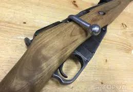 Два жителя Коми потеряли оружие на охоте