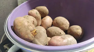 В Чувашии выросла цена на картошку