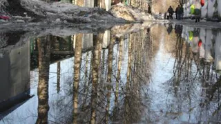 Рязанцев ждет аномально теплый февраль