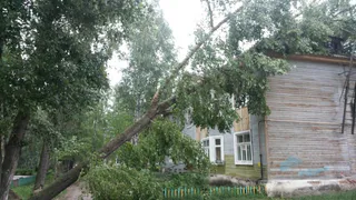 МЧС: 12 апреля в Рязани ожидается сильный ветер