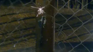 В Рыбном парня ударило током на катке