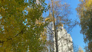 В начале сентября в Коми установится летнее тепло