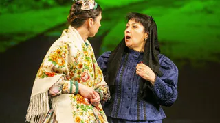 Нижнекамскую актрису удостоили звания «Заслуженный артист Республики Татарстан»