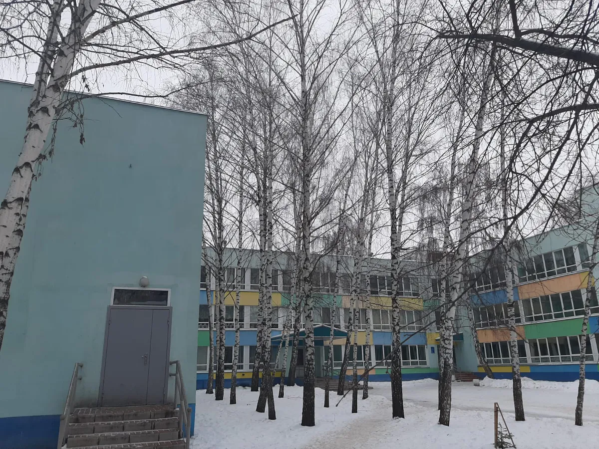 Нижнекамцам рассказали о преимуществах обновленной системы электронного образования