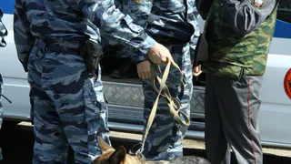 Перевозил 13 килограмм: в Рязани задержан межрегиональный наркокурьер