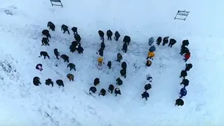 Патриотическая акция у Успенского собора: зачем рязанцы выстроились в аббревиатуру ВВП?