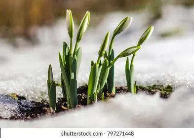 Синоптики рассказали о погоде на предстоящую неделю