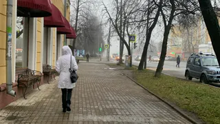 У Весов магнит для денег, Козероги словят панику - гороскоп на прибыль