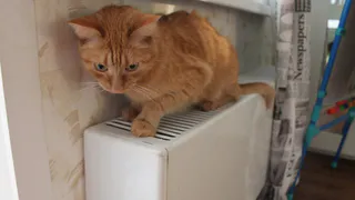 Сорокина: сегодня в Рязани запустят отопление