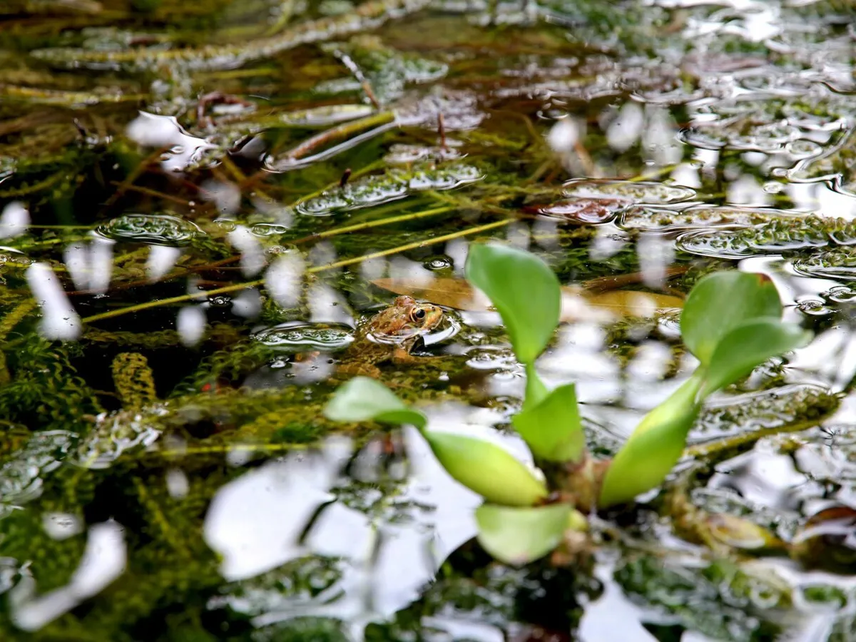 В Челябинской области мэрия подала в суд из-за битумных болот, представляющих угрозу для людей