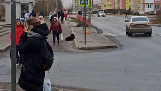 А что у них? Как российские регионы пытаются спасти население от коронавируса