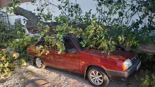 Въезд и выезд перекрыт: на площади Ленина на машину упало дерево