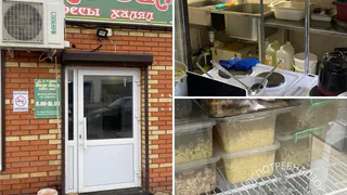 Кафе «Зам Зам» в Татарстане закрыли на два месяца из-за грубых нарушений санитарных норм