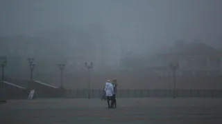 МЧС предупреждает - в ближайшее время Рязанскую область накроет туман