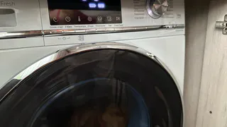 Зажмите 2 кнопки - и стиралка сама очистится от мусора: секрет вечной службы
