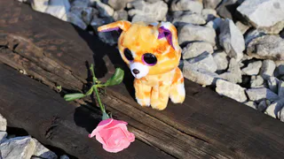 С начала этого года в Рязани было зафиксировано 8 попыток подросткового суицида