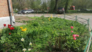 Отдыхать не придётся: Минтруд переносит майские каникулы - выходные подвинули из-за ситуации в стране