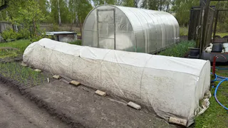 Пара пшиков на грядки - и сорняки исчезнут за одну ночь и не появятся даже после дождя