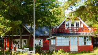 "Вводится полный запрет": владельцев дач и огородов в России огорошили новым жестким правилом