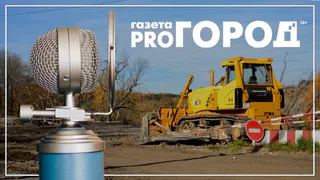 Для тех, кто пропустил. Подкаст от Pro Города: куда исчезают деревья из вашего двора?