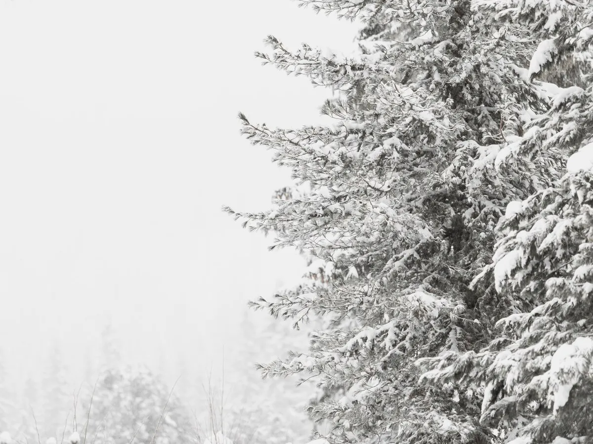 Снежный циклон уходит из Челябинской области: прогноз на выходные