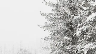 Снежный циклон уходит из Челябинской области: прогноз на выходные