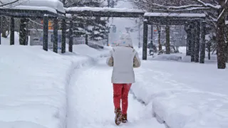 Экстремальные морозы до минус 48, снегопады, лавины: прогноз погоды в России на следующую неделю