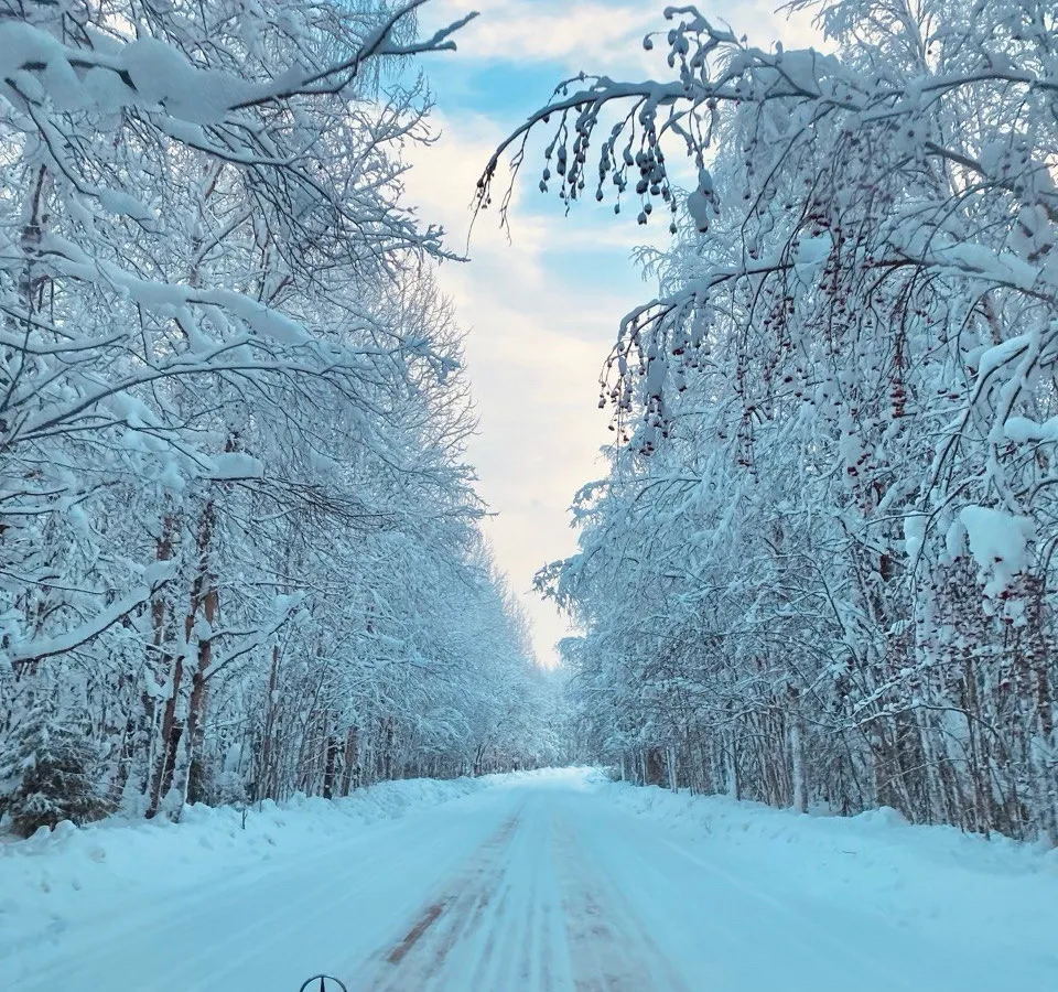 В Челябинской области трассы обработали против гололеда