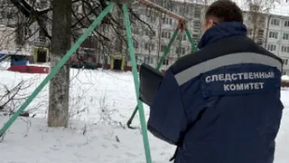 В Брянске бывшего директора УК отдали под суд за падение девочки с качелей