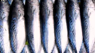 Взял форель в "Светофоре" для засолки икры к Новому году — только лишь дома понял, какая она: личный опыт и честный обзор