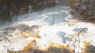 На Родине брянского Губернатора продолжают «убивать» природу