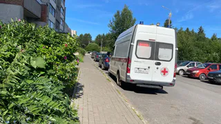 Рязанские хирурги достали из горла ребенка магниты размером с песчинку