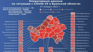 За сутки от коронавируса умерли 14 брянцев