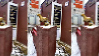 В Фокинском районе города Брянска молодой человек разбил статую в студии красоты